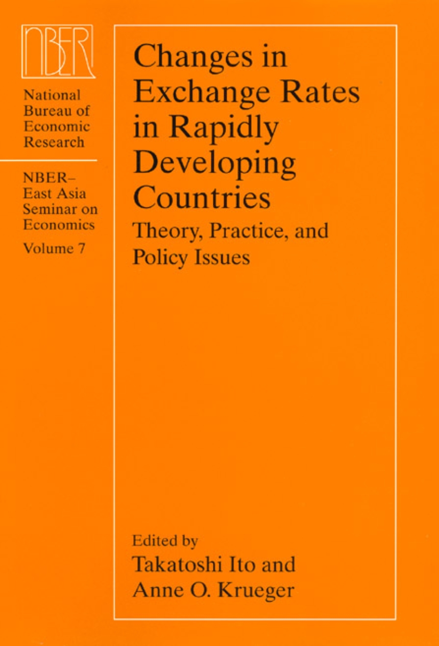 Changes in Exchange Rates in Rapidly Developing Countries
