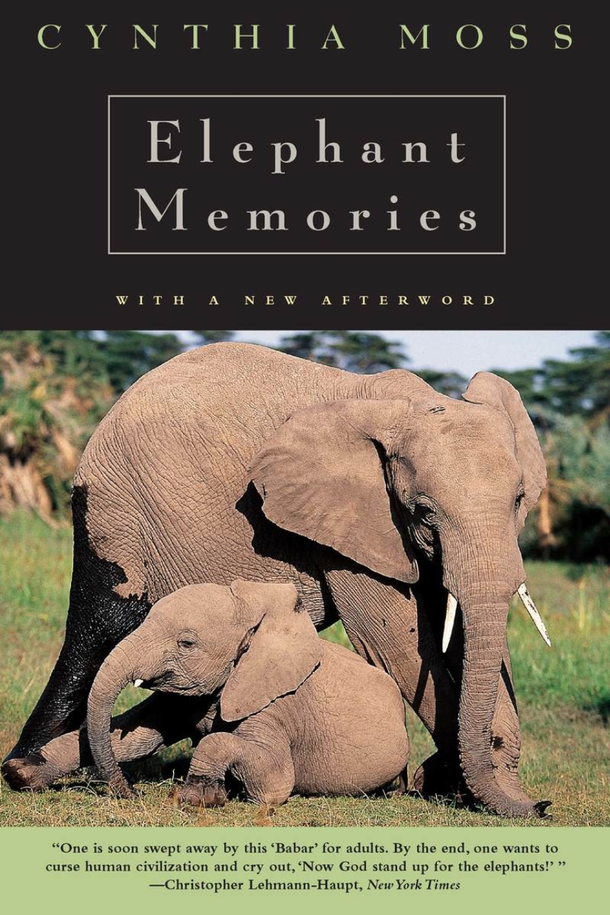 Elephant Memories