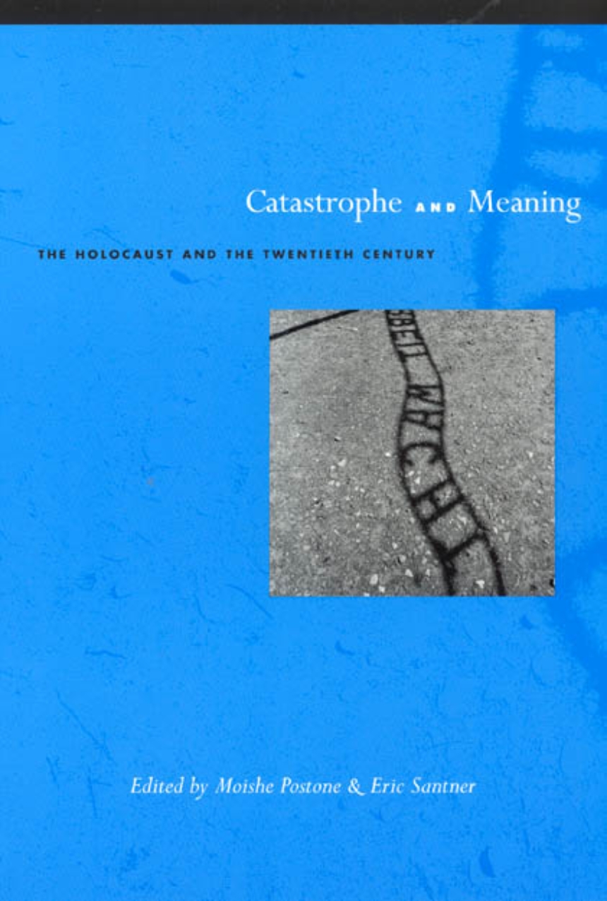 Catastrophe and Meaning