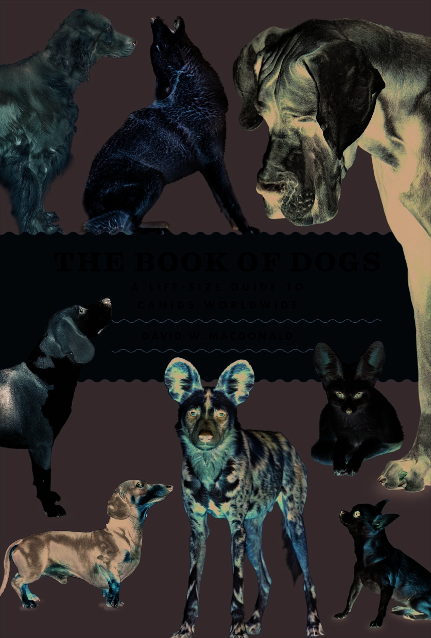 The Book of Dogs