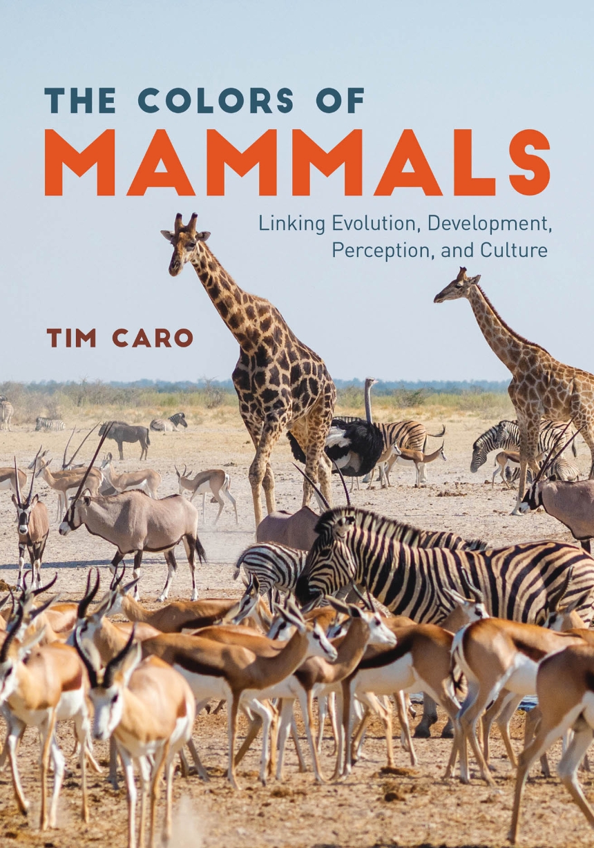 The Colors of Mammals