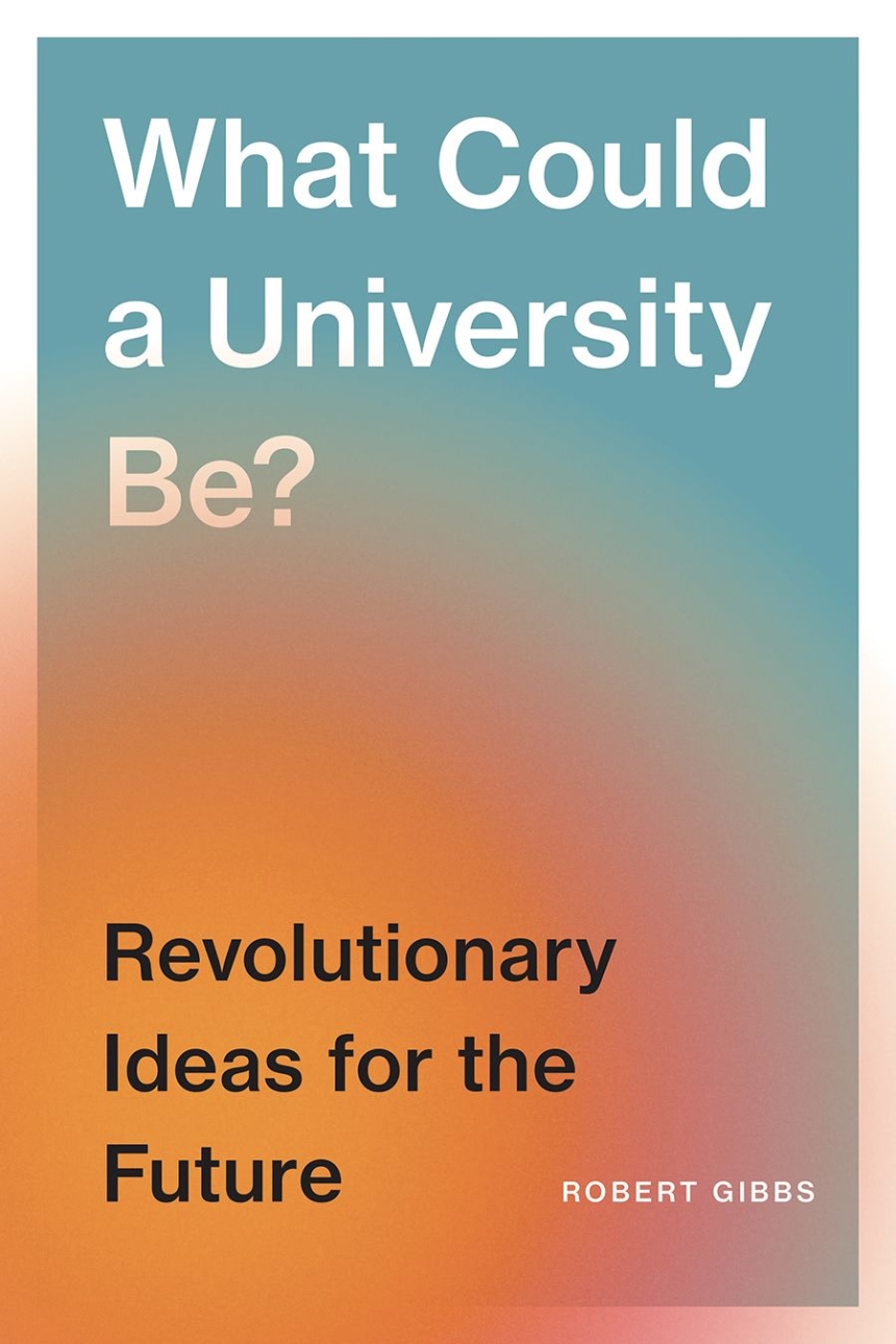 What Could a University Be?
