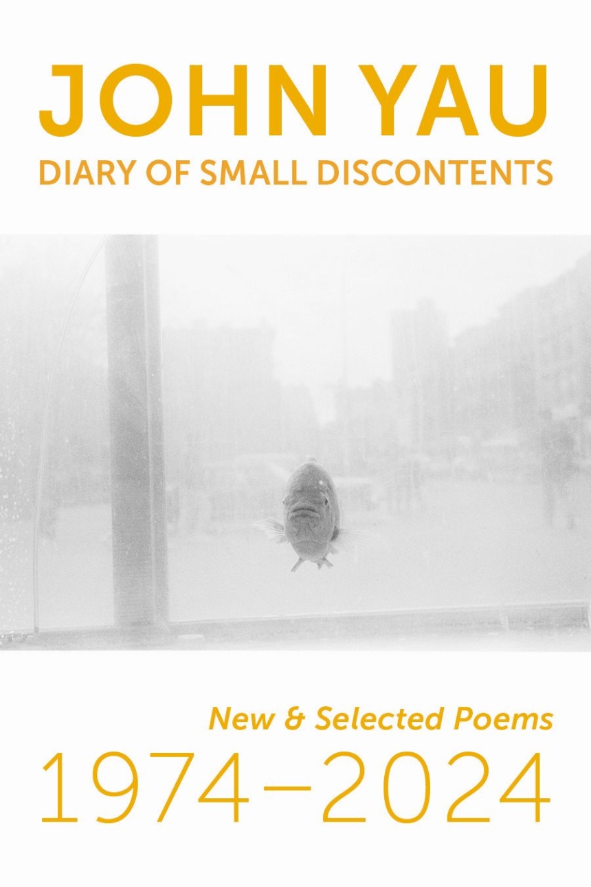 Diary of Small Discontents