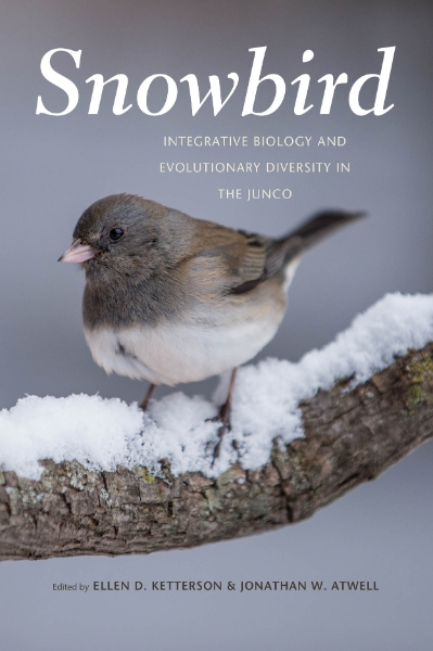 Snowbird: Integrative Biology and Evolutionary Diversity in the Junco