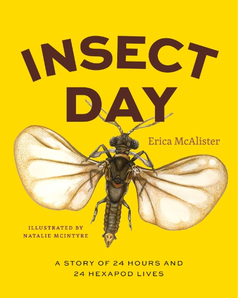 Insect Day: A Story of 24 Hours and 24 Hexapod Lives