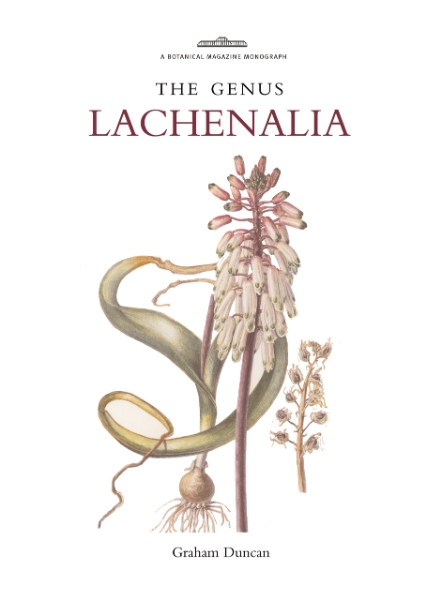 The Genus Lachenalia