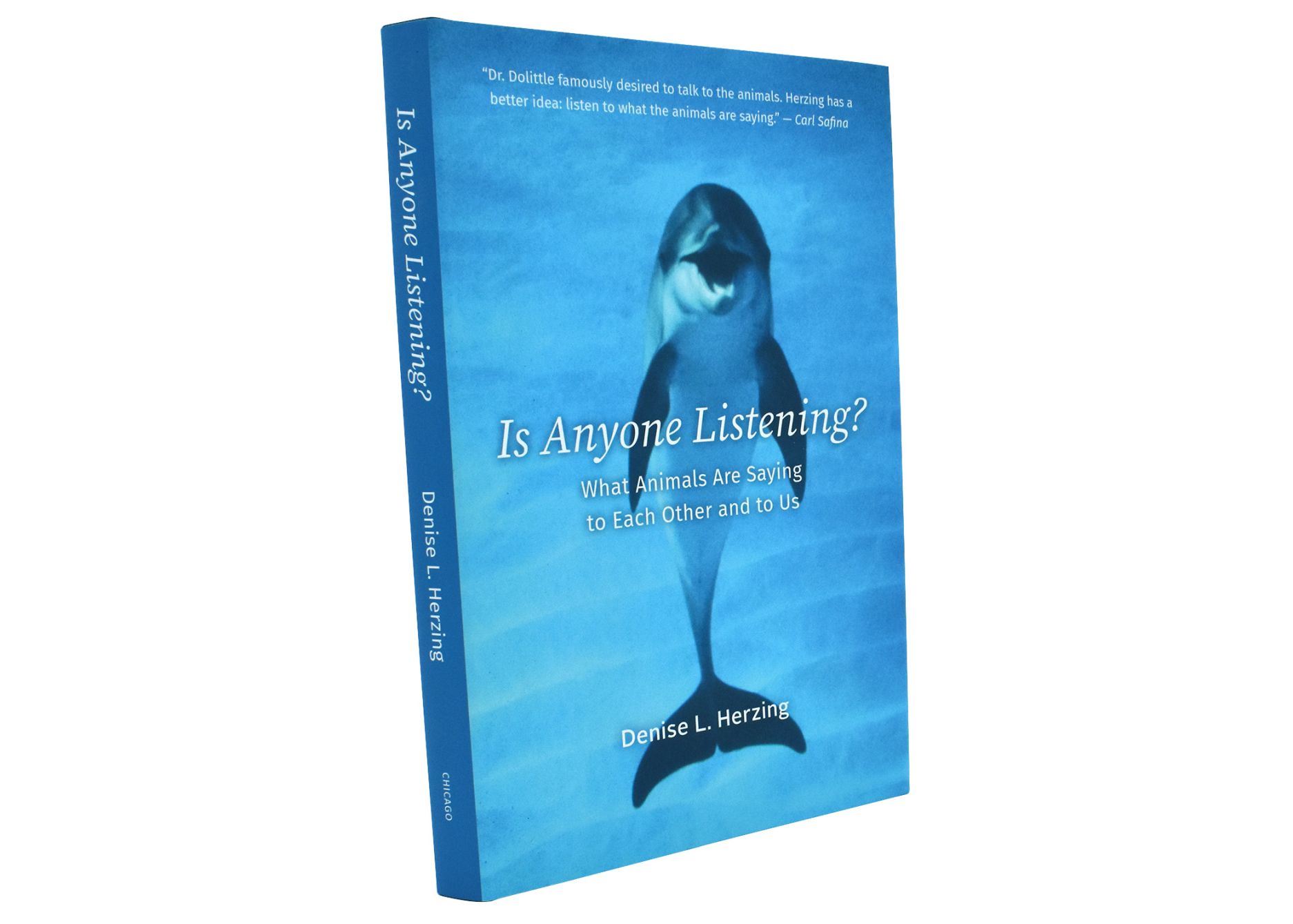 Is Anyone Listening 01 - click to open lightbox