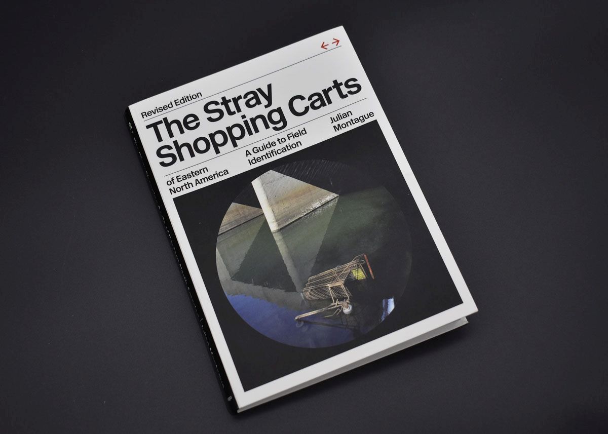 Stray Shopping Carts of Eastern North America 01 - click to open lightbox