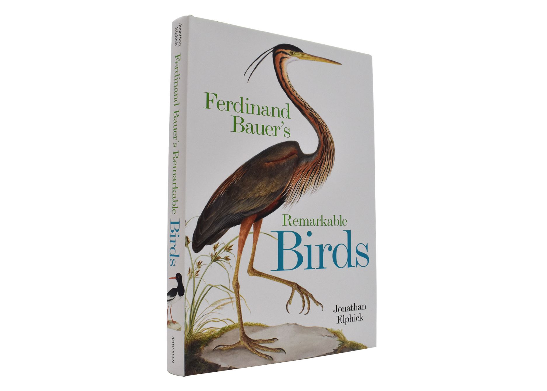 Ferdinand Bauers Remarkable Birds 01 - click to open lightbox