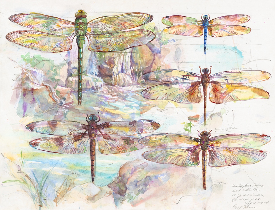 Dragonflies